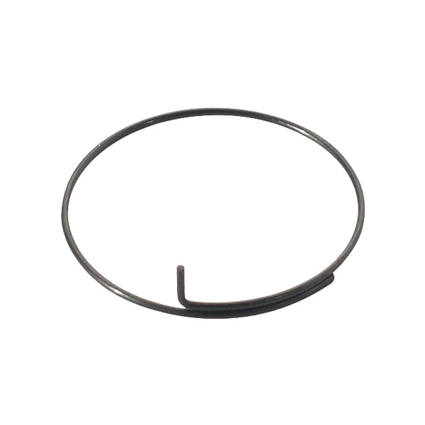 Pawl Spring DT Swiss onyx shimano